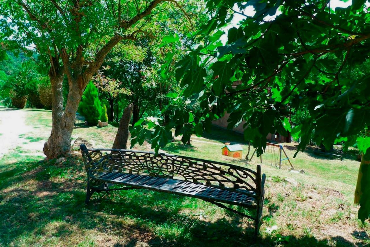 El Paller Del Moli De La Plana Riudaura Εξωτερικό φωτογραφία