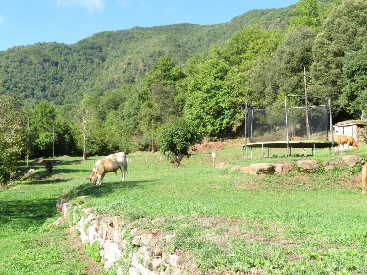 El Paller Del Moli De La Plana Riudaura Εξωτερικό φωτογραφία